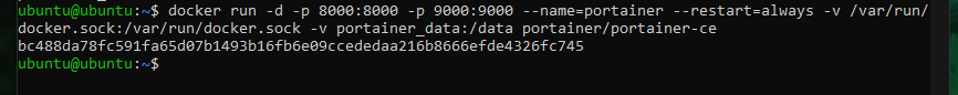 The output of running the Docker run command for Portainer